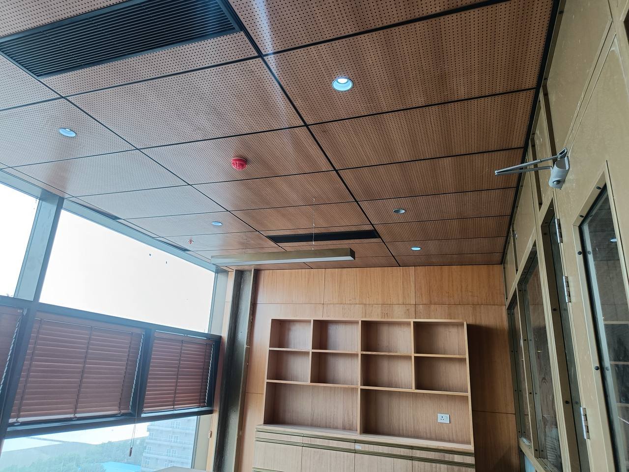 Perforated wood acoustic ceiling tiles in office